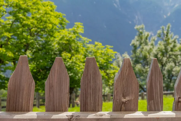 Gros Plan Piquets Grève Bois Dans Une Ambiance Alpine Ensoleillée — Photo