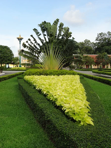 Phnom Penh — Stok fotoğraf