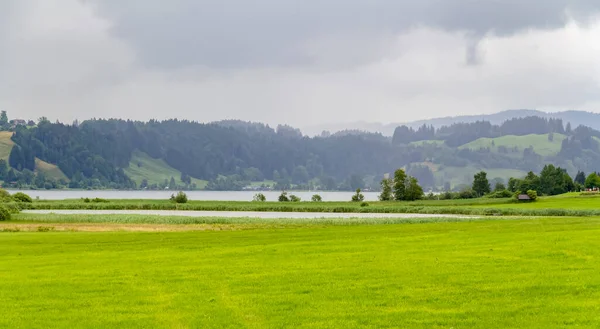 Landskap Runt Grosser Alpsee Sjö Nära Immenstadt Bayern Tyskland — Stockfoto