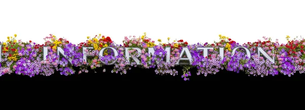 Letras Informativas Enmarcadas Por Flores Coloridas Aisladas Blanco Negro —  Fotos de Stock