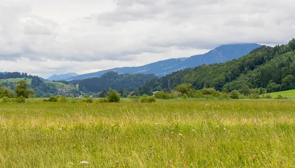 ドイツ バイエルン州のアッパー アルガウの町 インメンシュタット周辺の牧歌的な風景 — ストック写真