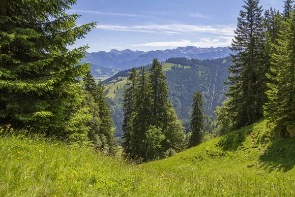 Paysage Idyllique Autour Immenstaedter Horn Une Montagne Dans Haut Allgaeu — Photo