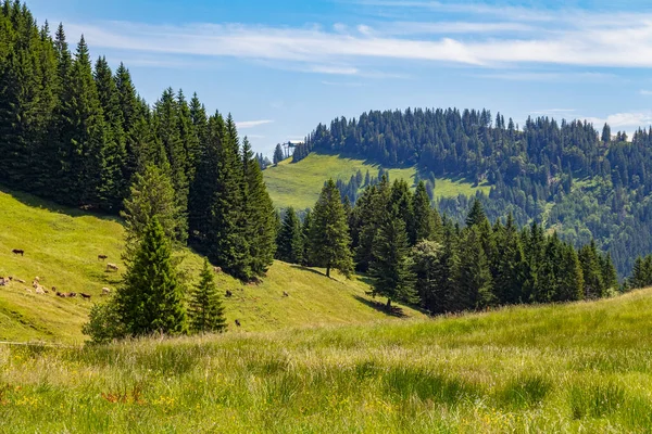 Idyllic Scenery Immenstaedter Horn Mountain Upper Allgaeu Bavaria Germany — Stock Photo, Image