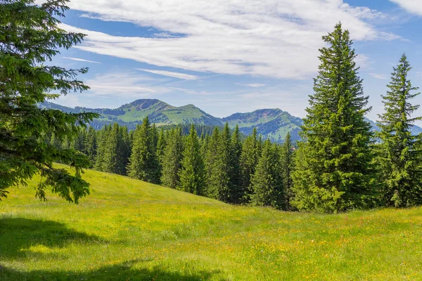 Idyllische Landschaft Rund Das Immenstaedter Horn Einem Berg Oberallgäu Bayern — Stockfoto