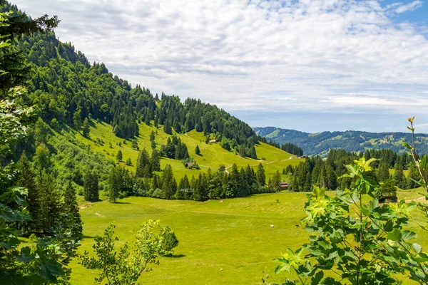 Paesaggio Idilliaco Intorno Corno Immenstaedter Una Montagna Nell Alta Allgaeu — Foto Stock