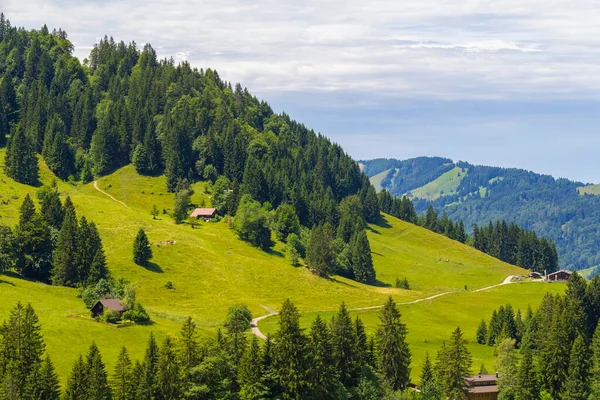 德国巴伐利亚上阿尔高厄的一座山 英门施塔特角周围的田园风光 — 图库照片