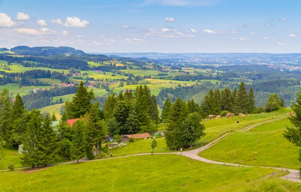 Idilli Táj Körül Immenstaedter Horn Egy Hegy Felső Allgaeu Bajorországban — Stock Fotó