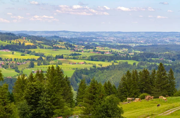 Idyllisch Landschap Rond Immenstaedter Horn Een Berg Oberallgaeu Beieren Duitsland — Stockfoto