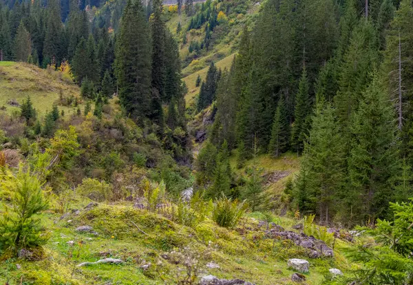 Avusturya Nın Vorarlberg Eyaletinin Bregenz Ilçesine Bağlı Warth Çevresindeki Doğal — Stok fotoğraf