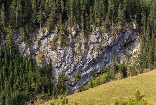 Yaz Sonunda Avusturya Daki Vorarlberg Eyaletinde Lech Nehrinin Etrafında Kayalık — Stok fotoğraf