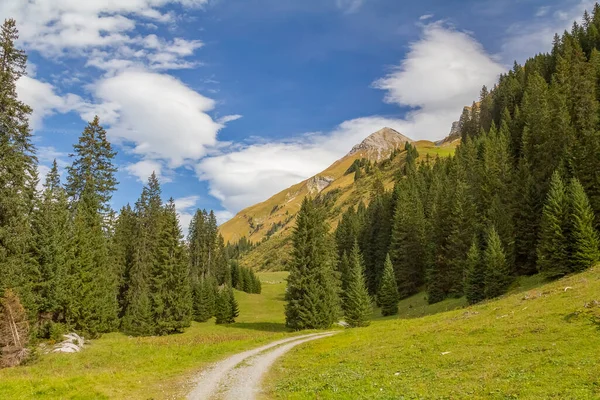 Idyllische Landschaft Rund Den Lech Vorarlberg Österreich Spätsommer — Stockfoto