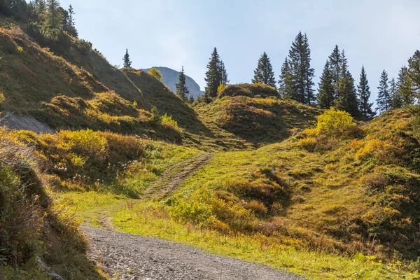 Idyllische Landschaft Rund Den Koerbersee Bei Schroecken Österreich — Stockfoto