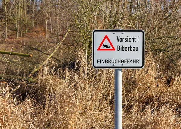 Beaver Lodge Attention Sign Seen Germany Beaver Habitat Sunny Ambiance — Fotografia de Stock