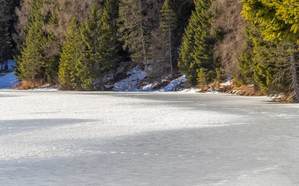 Paisaje Natural Alrededor Lago Llamado Felixer Weiher Tirol Del Sur — Foto de Stock