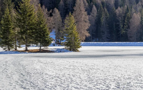 Naturlandskap Runt Sjö Som Heter Felixer Weiher Sydtyrolen Vintern — Stockfoto