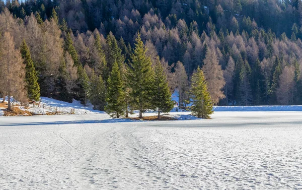 Naturlandskap Runt Sjö Som Heter Felixer Weiher Sydtyrolen Vintern — Stockfoto