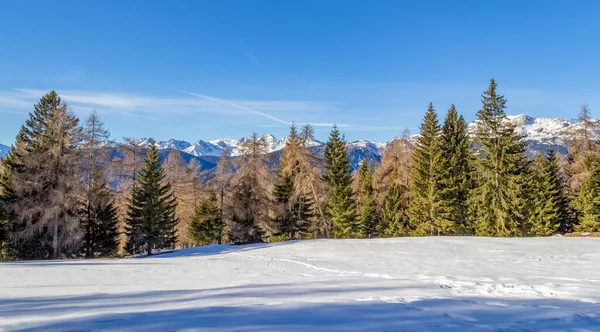 Natural Scenery Lake Named Felixer Weiher South Tyrol Winter Time — Stock Photo, Image