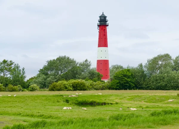 Faro Una Isla Llamada Pellworm Frisia Del Norte Alemania — Foto de Stock