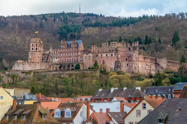Враження Гейдельберга Від Замку Німеччині Взимку — стокове фото