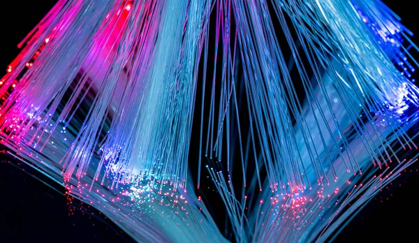 Цветные Светящиеся Оптические Волокна Крупным Планом Черной Спине — стоковое фото