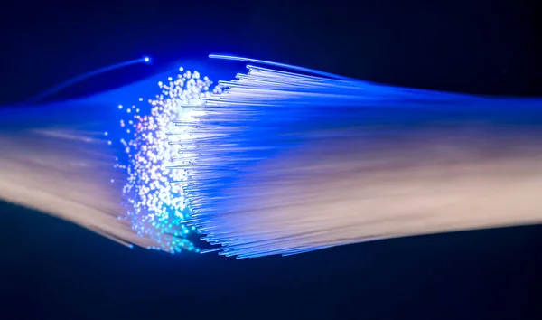 Blue Illuminated Optical Fibers Closeup Dark Back — Stock Photo, Image