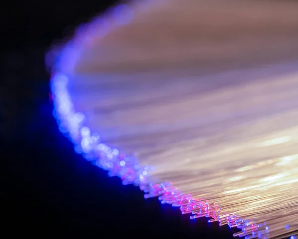 Светящийся Макрос Оптического Волокна Темной Части Спины — стоковое фото