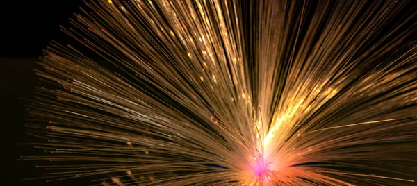 Fibre Ottiche Ventaglio Illuminate Primo Piano Nella Parte Posteriore Nera — Foto Stock