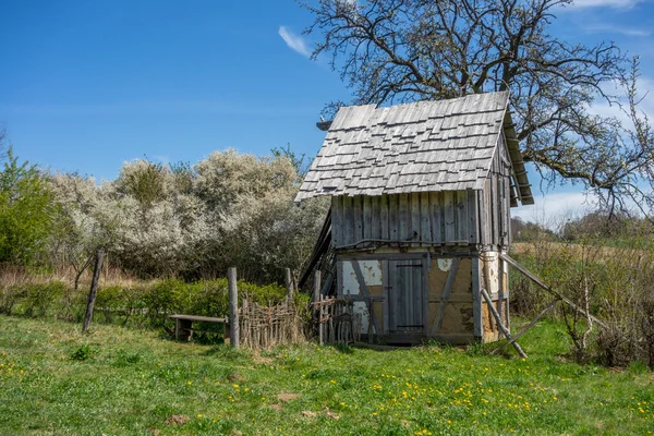 早春の日当たりの良い雰囲気の中世の木造小屋 — ストック写真