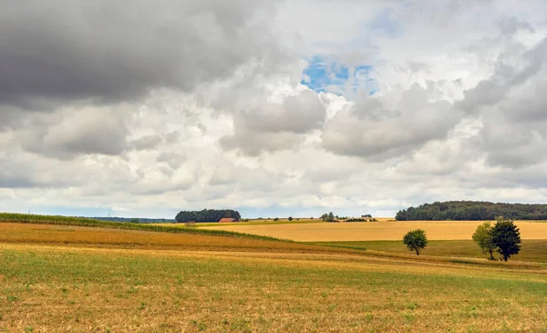 Farmland Scenery Hohenlohe Area Southern Germany Late Summer Time — Stockfoto