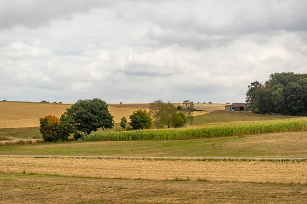Пейзаж Пасмурных Сельхозугодий Гогенлоэ Регионе Юге Германии Конце Лета — стоковое фото