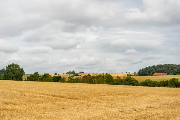 Overcast Farmland Scenery Hohenlohe Area Southern Germany Late Summer Time — 图库照片