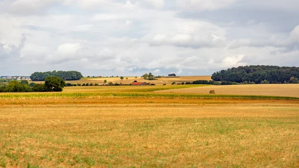 Бурные Пейзажи Сельхозугодий Гогенлоэ Регионе Юге Германии Конце Лета — стоковое фото