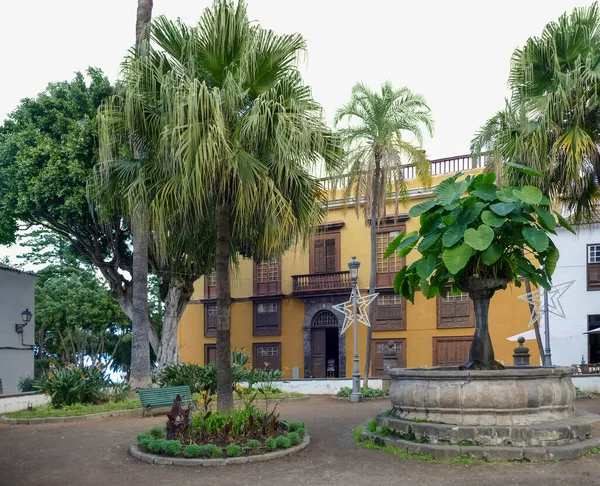 Imprese Obce Icod Los Vinos Provincii Santa Cruz Tenerife Ostrově — Stock fotografie