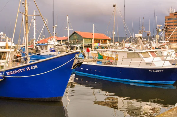 Rybářské Lodě Kotvící Victoria Dock Hobart Tasmánie Austrálie — Stock fotografie