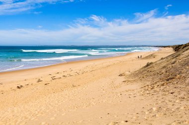 Woolamai Sörf Sahili 4.2 km uzunluğundadır ve batı rüzgarları nedeniyle ortalama 1.7 metre - Phillip Adası, Victoria, Avustralya