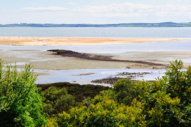 Rhyll Inlet State Wildlife Reserve yürüyüş yolları, tahta kaldırımlar, mangrovlar, kuşlar ve okyanus manzaralı bir sulak arazidir.