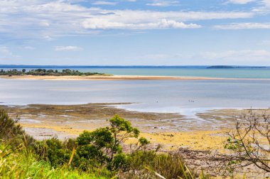 Rhyll Inlet State Wildlife Reserve yürüyüş yolları, tahta kaldırımlar, mangrovlar, kuşlar ve okyanus manzaralı bir sulak arazidir.