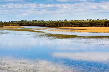 Rhyll Inlet State Wildlife Reserve yürüyüş yolları, tahta kaldırımlar, mangrovlar, kuşlar ve okyanus manzaralı bir sulak arazidir.