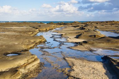 Marengo Resifleri Deniz Sığınağı 'ndaki kayalık platformda Marengo, Victoria, Avustralya
