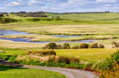 Gellibrand River Estuary, Princetown, Victoria, Avustralya 'da yapılmış bir tuz çubuğu.