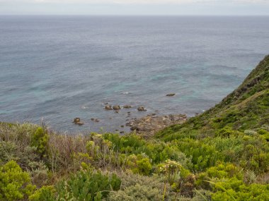 Büyük Okyanus Yürüyüşü 'ndeki Rocky Sahili - Point Flinders, Victoria, Avustralya