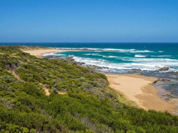 Маленький Піщаний Пляж Великому Океані Пойнт Франклін Вікторія Австралія — стокове фото
