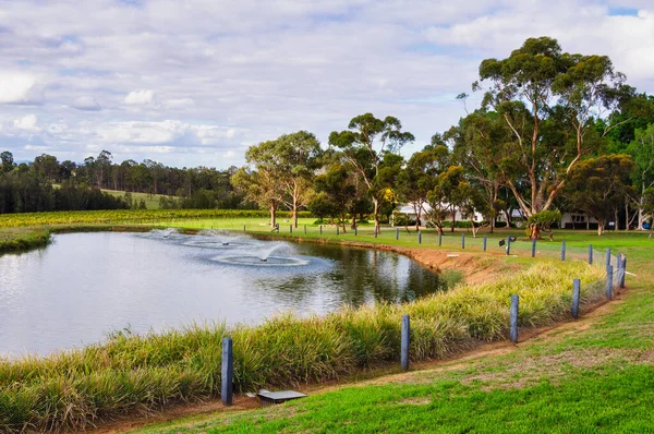 Estanque Con Características Agua Parque Wynwood Estate Pokolbin Nsw Australia — Foto de Stock