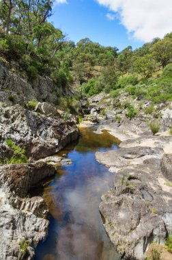 Oxley Wild Rivers Ulusal Parkı 'ndaki Chandler Nehri' nin kuru yatağında su birikintisi Hillgrove, NSW, Avustralya