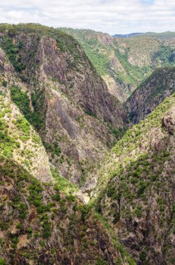 Oxley Vahşi Nehirler Ulusal Parkı 'nda Wollomombi Vadisi Hillgrove, NSW, Avustralya