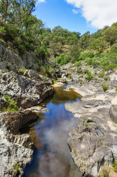 Oxley Wild Rivers Ulusal Parkı 'ndaki Chandler Nehri' nin kuru yatağında su birikintisi Hillgrove, NSW, Avustralya