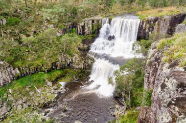 Upper Ebor Falls on the Guy Fawkes River - Dorrigo, NSW, Australia clipart