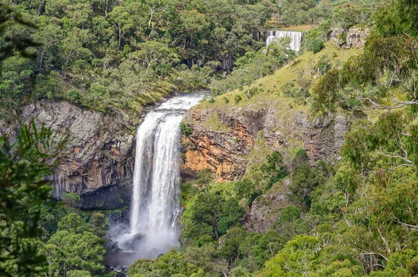 Ebor Falls Spectacular Double Waterfall Guy Fawkes River Dorrigo Nsw — Fotografia de Stock