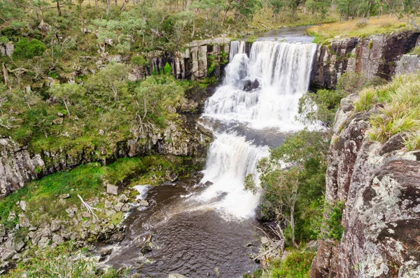 Upper Ebor Falls Aan Guy Fawkes River Dorrigo Nsw Australië Stockafbeelding