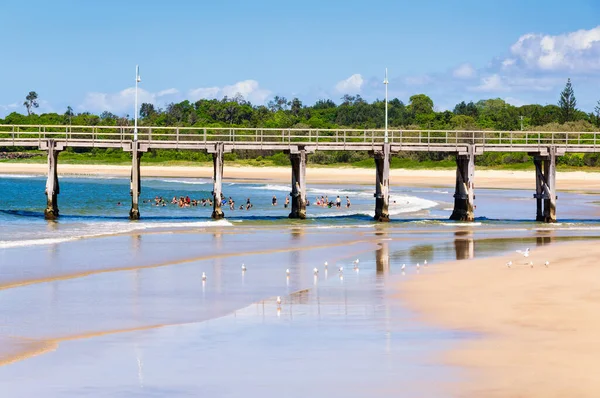 Vieille Jetée Bois Plage Isolée Jetty Beach Coffs Harbour Nsw — Photo